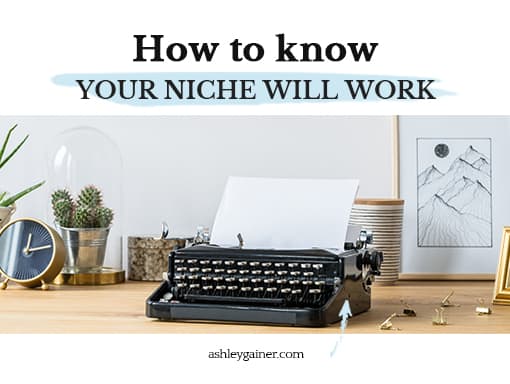 How to know your niche will work
