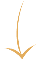 gold-arrow